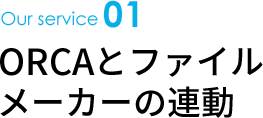 Our service01 ORCAとファイルメーカーの連動